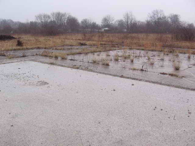 Show Boat Drive-In - 2006 Photo (newer photo)